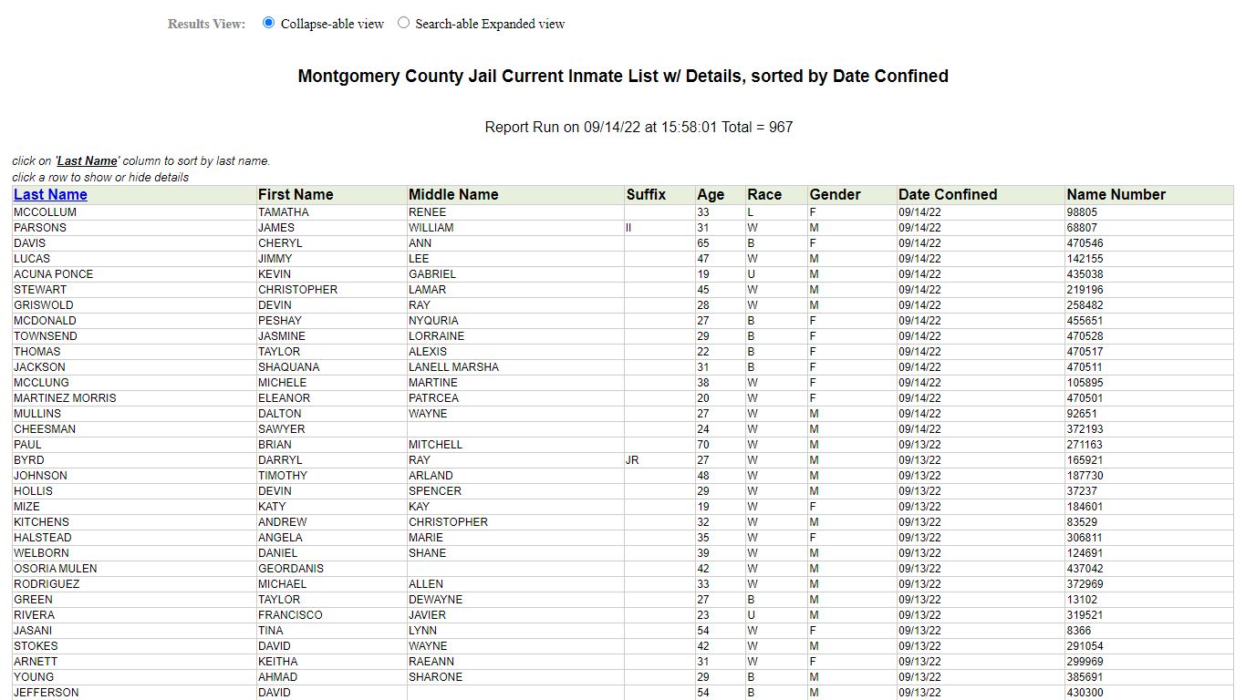 Jail Roster - Montgomery County, Texas